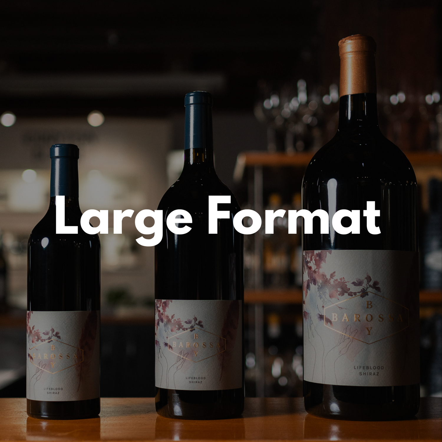 Large Format - Magnums & Big Bottles